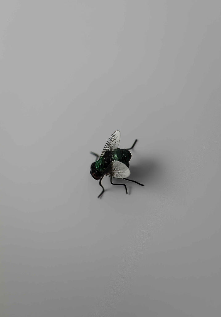 Prank Green Bottle Fly Magnet